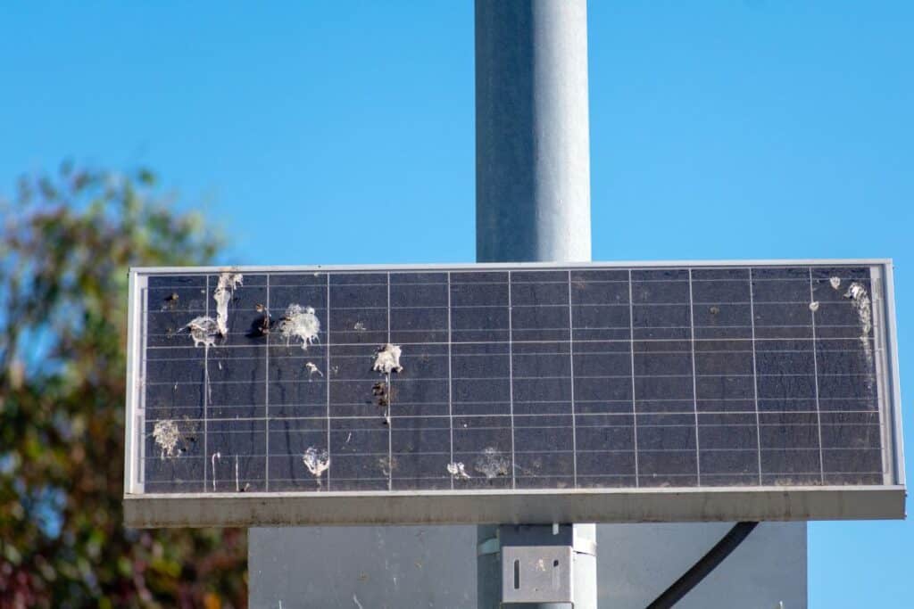 Bird droppings on a dirty solar panel